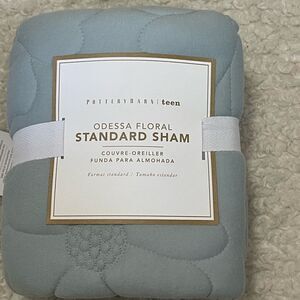 Pottery Barn Teen Odessa Floral Jersey Standard Sham Ice Blue